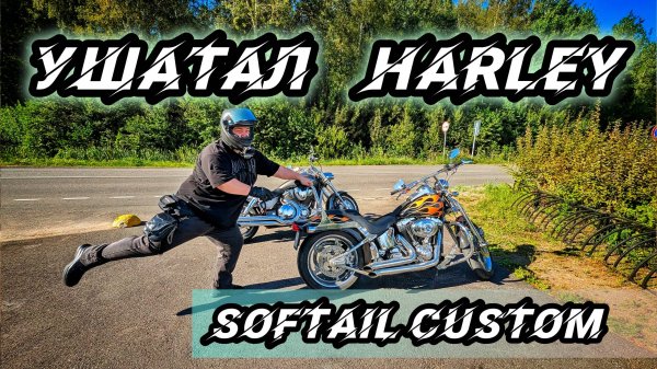 УШАТАЛ HARLEY DAVIDSON SOFTAIL CUSTOM  SPRINGER | ПЕРВЫЕ ЭМОЦИИ | МОТОЦИКЛ ЧЬЕЙ ТО МЕЧТЫ