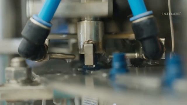 Какое растение не надо поливать? Его польза для органи