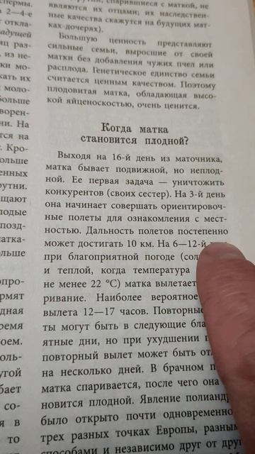 облет матки литература смотреть онлайн
