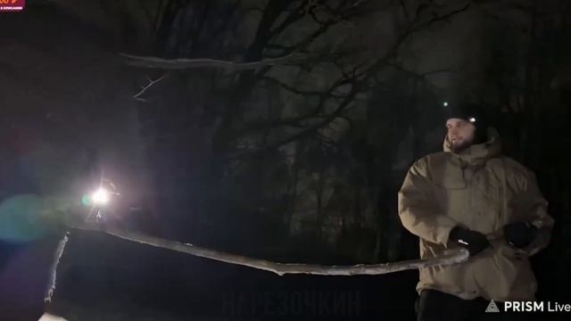 Кореш боится сломать ветку смотреть онлайн