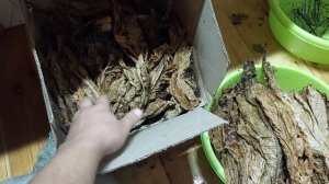 Ферментация табака и подготовка к ней в домашних усло?