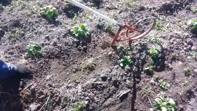 Ручной плоскорез с велосипедной рамы. смотреть онлайн