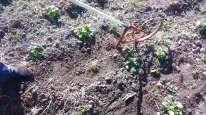 Ручной плоскорез с велосипедной рамы.