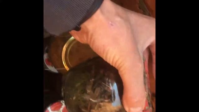 Автоклав Беларусь Люкс 30 литров.