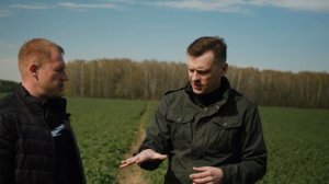 Как вырастить озимый рапс? Принципы и технологи, лайфх