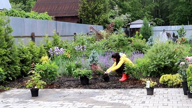 САД С НУЛЯ СВОИМИ РУКАМИ #40 Планирование клумбы и поса?