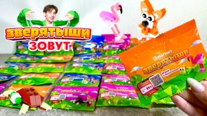 🦊🦩🐢ЗВЕРЯТЫШИ - МАГНИТ!🦄🍬❤️ ЛАЙФХАК Как собрать всю коллекцию!   Новая акция, распаковка сюрприз