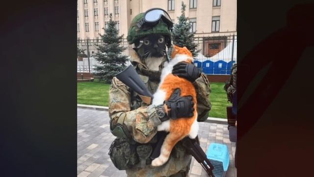 Песня Клип ЧМОНЯ Rasa - Пчеловод ПАРОДИЯ / Мем кот Чмоня смотреть онлайн