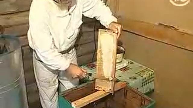 Мед   настоящий и 'липовый' Как делают мед) (1)