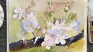 Уроки рисования.Как рисовать акварелью. Акварель. Пиш?