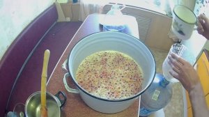 Вино из шиповника в домашних условиях. Витамины на зим