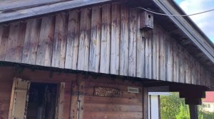 Естественный цвет бани через 10 лет