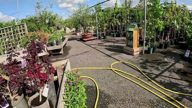 Церковь Святой Девы Марии и садовый центр Хартвелл.Ан?