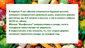 Яблоня Конфетное отзывы садоводов