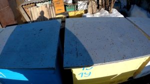 Когда выставлять пчёл весной? Лучший метод.