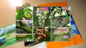 Чистий сад Днок, NITRO захист саду №1