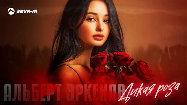 Альберт Эркенов - Дикая роза | Премьера трека 2025 смотреть онлайн