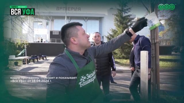 Объёмы высадки деревьев вырастут втрое: Уфу украсят р?