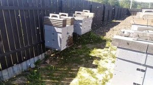 пчелы зароились,вышел рой, как вернуть рой обратно