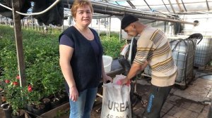 Подкормка по листу. Карбамид (мочевина)