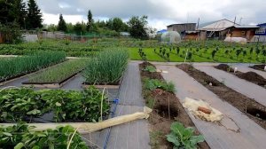 Агроткань - Все ПЛЮСЫ и МИНУСЫ! Подробный Обзор садово?