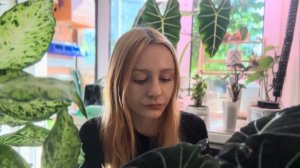 Растения из пятерочки - фикусы/алоказии/филодендроны/?