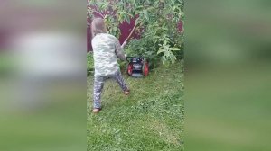 Колёсный бензиновый триммер Sunreka GWBT22