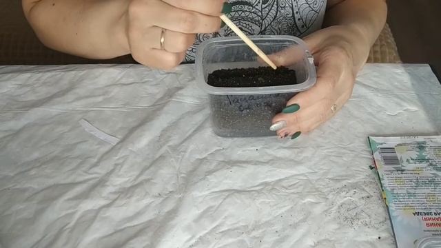 Петуние и перцу 10 дней, отличные всходы!!