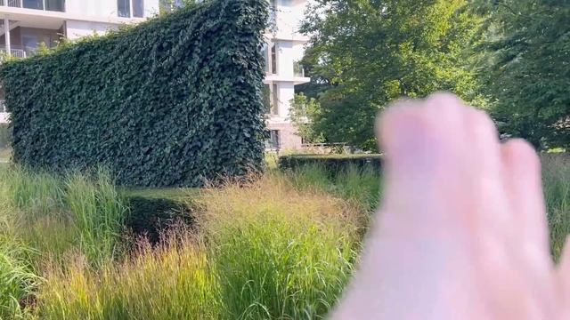 #22 ☘️Невероятные цветники Голландии. ☘️В чем их секр смотреть онлайн