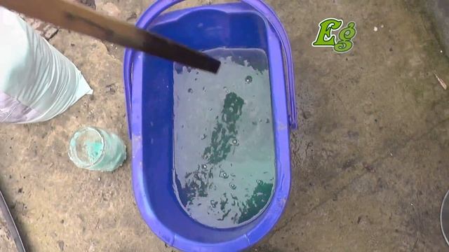 КАК ИЗБАВИТЬСЯ ОТ МХА И ЛИШАЙНИКОВ НА ДЕРЕВЬЯХ смотреть онлайн