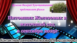 Питомник Железовых и маточный сад в сентябре 2025г.