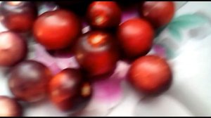 Необычный сорт томата - Жар - угли!! Мой отзыв.