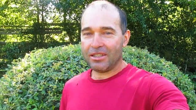 Почему на даче босиком и без перчаток.