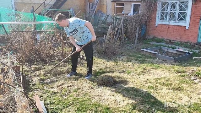 Купили старую дачу/Приехали на нашу заброшенную дачу/? смотреть онлайн