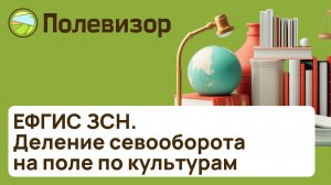 Деление севооборота на поле по культурам