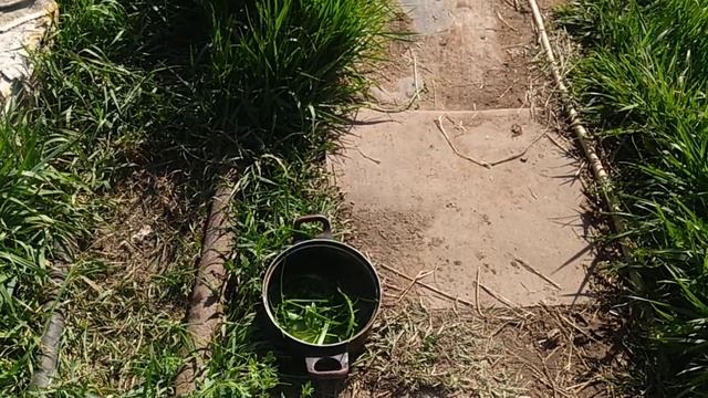 Дача выглядит так 6-ого Июня, рассады помидоров, огурцо смотреть онлайн