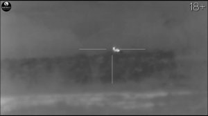 Охота на волка и шакала. Юрий Семенов добывает 18 хищни?