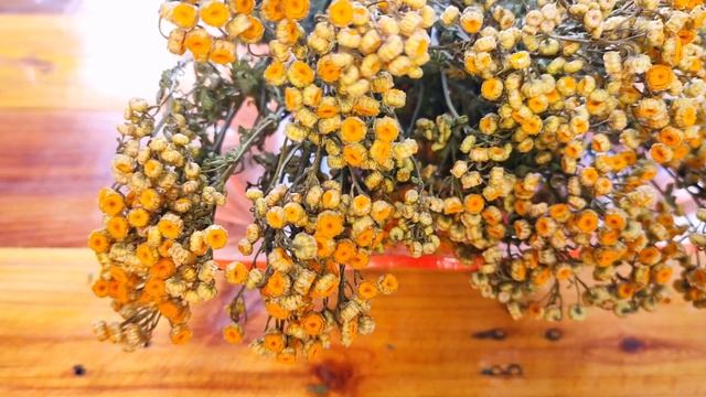 Что лечит ПИЖМА и как её правильно применять?