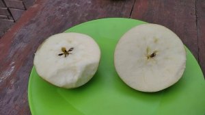 Секай-Ічі (Sekai-Ichi), сорт яблуні японської селекції