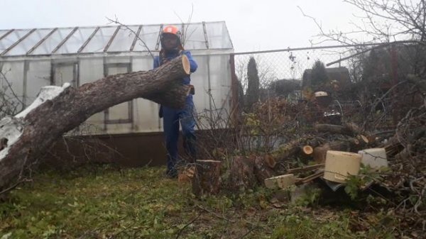 Stihl MS 180 в работе