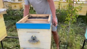 Зимовка пчел без сетчатого дна. Шикарный метод зимовк?