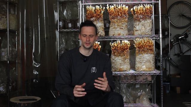 Как правильно выбрать продукт из рейши? смотреть онлайн