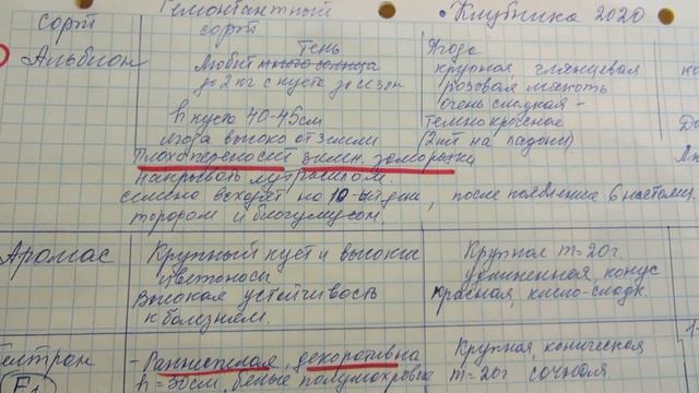 НОВЫЙ ЭКСПЕРИМЕНТ НА 2020 г. - ВЫРАЩИВАНИЕ КЛУБНИКИ ИЗ С? смотреть онлайн