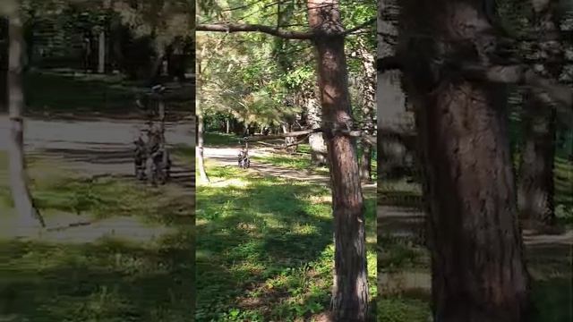 Как построить карьеру ?