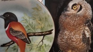 Птица Стучит в Окно Что Это Значит Какие Птицы Предвещ