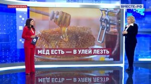 Поправки в закон о пчеловодстве  в России