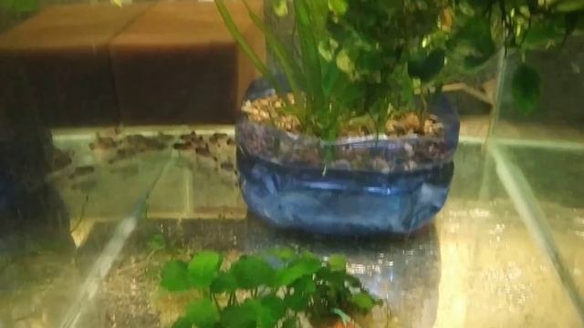 Новости с Дом.разводни, Старая батарея спасает, Сера к?