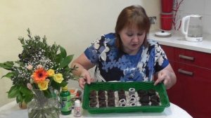 #59 ПОСЕВ ПЕРЦЕВ И БАКЛАЖАНОВ В ТОРФЯНЫЕ ТАБЛЕТКИ