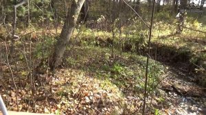 Поиск с помощью биолокации. Методы биолокации.