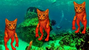 Песня Клип ТРИПИ ТРОПИ ТАНЕЦ АНИМАЦИЯ МЕМ Rasa - Пчелово?